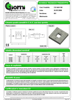 Scheda Tecnica CG060 100