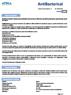 Cover PDF Antibacterical Pittura