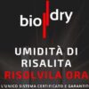 Biodry