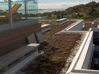 green-roof-2