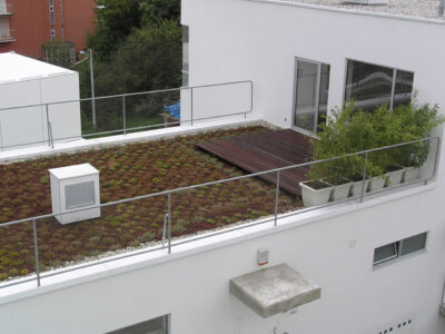 green-roof-3