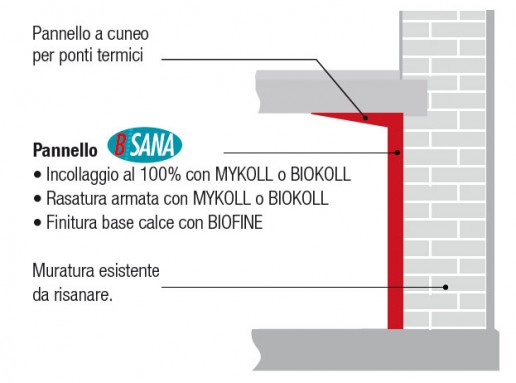 Applicazione B/SANA Bacchi