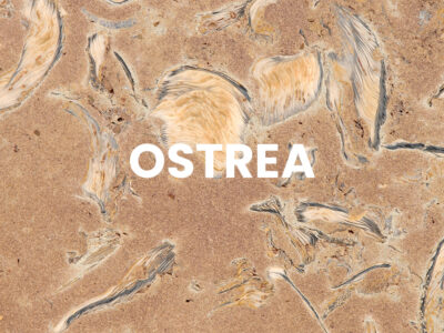 OSTREA