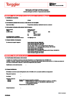 01 Scheda sicurezza
