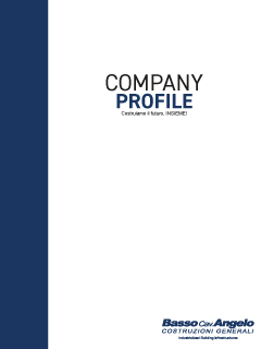Company-profile