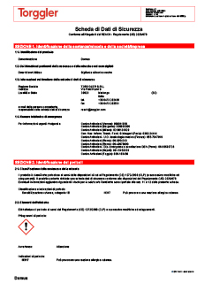 02 Scheda di sicurezza Base trasparente