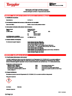 02 Scheda sicurezza componente A