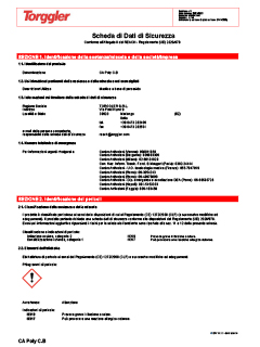 02 Scheda sicurezza componente B