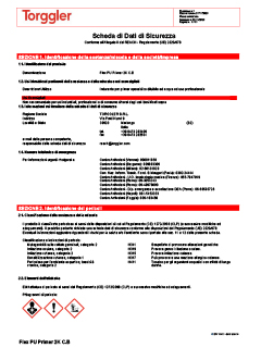 03 Scheda di sicurezza componente B