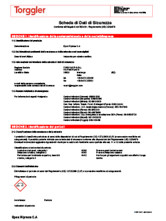 03 Scheda sicurezza componente A