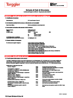 06 Scheda di sicurezza versione manuale