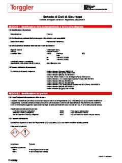 06 Scheda sicurezza