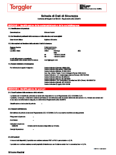 07 Scheda di sicurezza