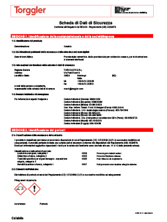 07 Scheda sicurezza