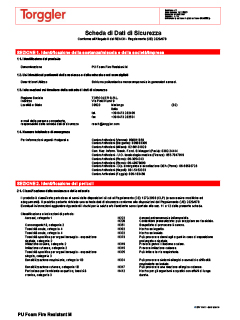 09 Scheda di sicurezza manuale
