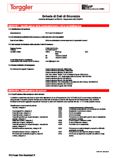 09 Scheda di sicurezza pistola