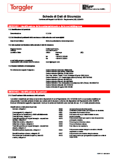 12 Scheda di sicurezza manuale