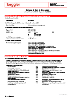 13 Scheda di sicurezza manuale