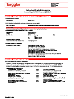 18 Scheda di sicurezza