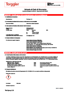 19 Scheda sicurezza componente B