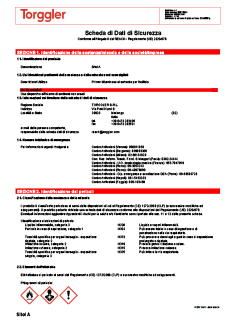 21 Scheda di sicurezza
