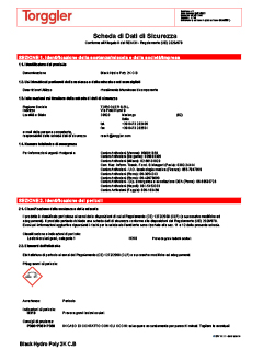 26 Scheda di sicurezza componente B