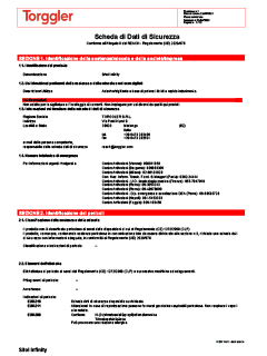 30 Scheda di sicurezza