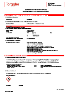 38 Scheda di sicurezza